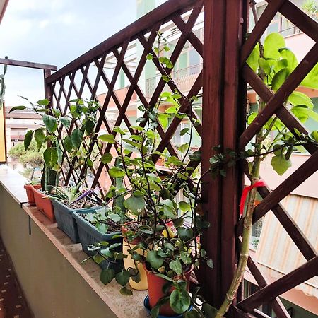 Euforbia House Apartman Lido di Ostia Kültér fotó