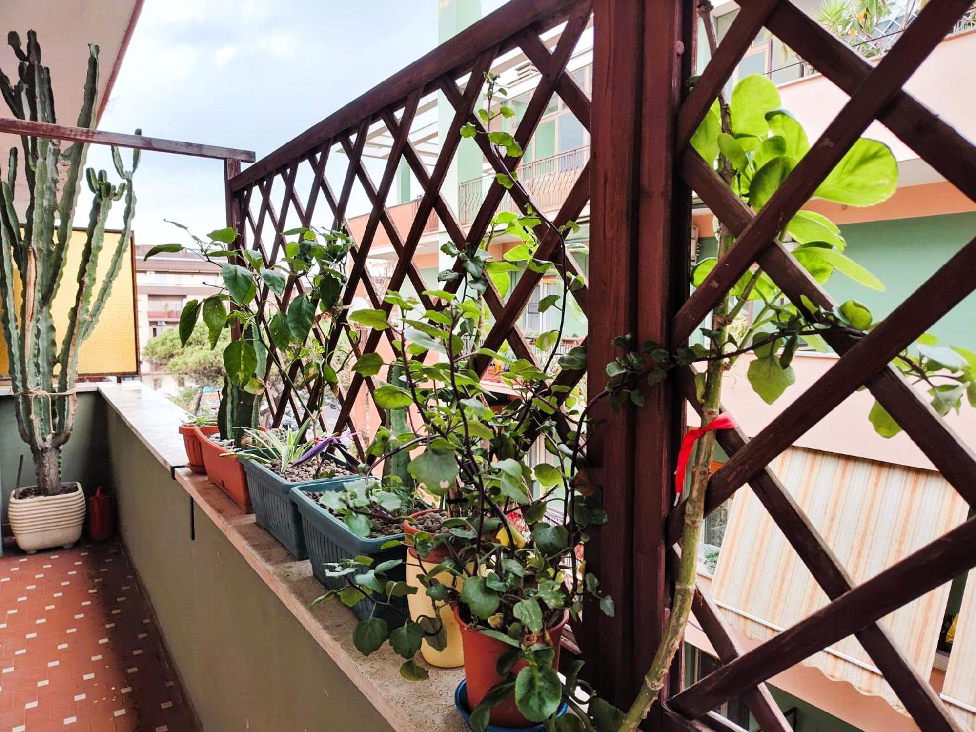 Euforbia House Apartman Lido di Ostia Kültér fotó