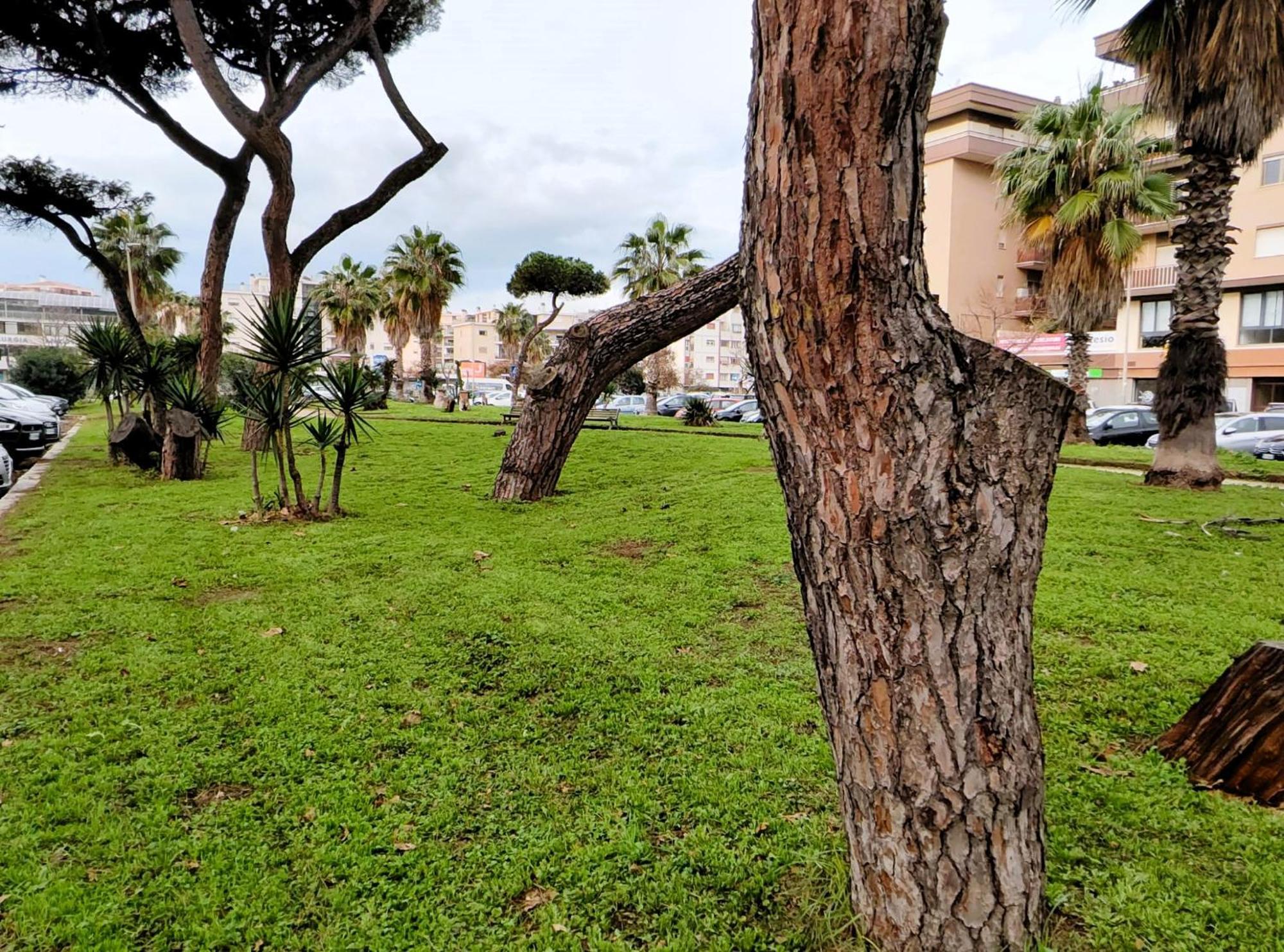 Euforbia House Apartman Lido di Ostia Kültér fotó